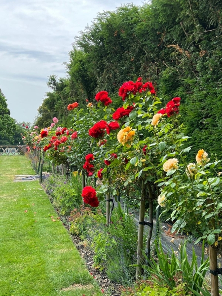 Hinchingbrooke House